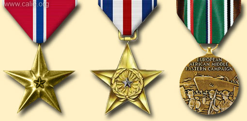 MILITARY VETERAN MEDALS