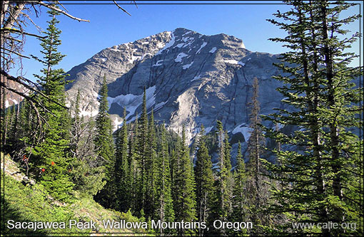 SACAGAWEA PEAK, OREGON