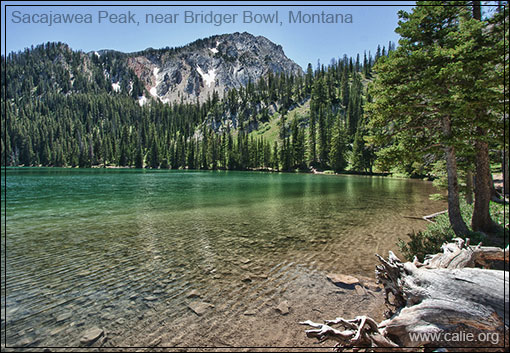 SACAGAWEA PEAK, MT