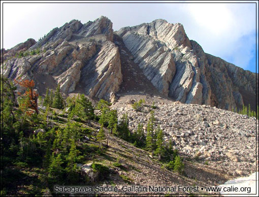 SACAGAWEA, GALLATIN NATIONAL FOREST MONTANA