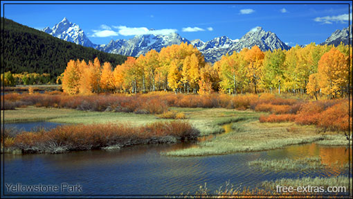 YELLOWSTON BEAUTIFUL PHOTOGRAPHY