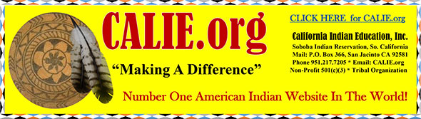 CALIE INC 501 c 3 Non Profit American Indian Organization