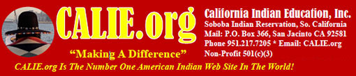 CALIE INC 501 c 3 Non Profit