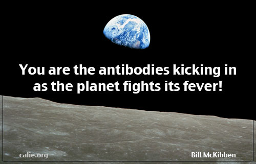 YOU ARE THE ANTIBODIES KICKING IN AS THE PLANET FIGHTS IT FEVER, BILL MCKIBBEN 