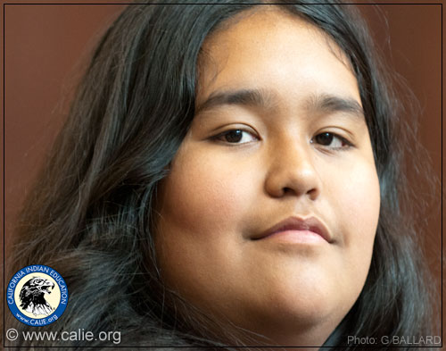 YOUNG AMERICAN INDIAN PORTRAIT